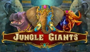 Doxxbet casino a Jungle Giants